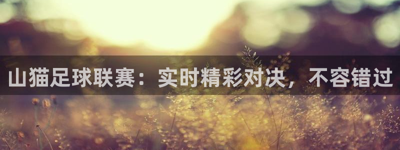 绿茵直播nba免费观看高清：山猫足球联赛：实时精彩对决，不容错过