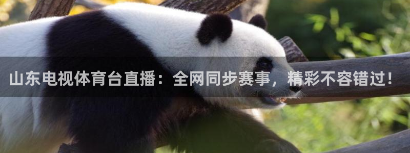 nba绿茵直播高清在线观看：山东电视体育台直播：全网同步赛事，精彩不容错过！
