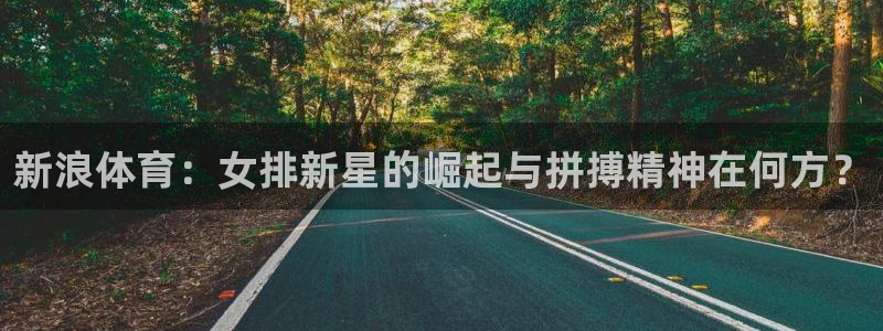 绿茵直播在线观看nba：新浪体育：女排新星的崛起与拼搏精神在何方？