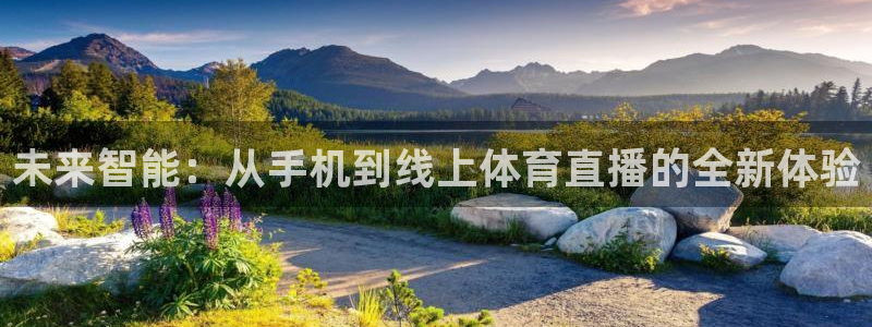 绿茵直播体育免费观看：未来智能：从手机到线上体育直播的全新体验