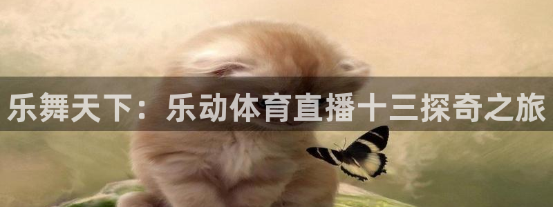 绿茵直播9939：乐舞天下：乐动体育直播十三探奇之旅