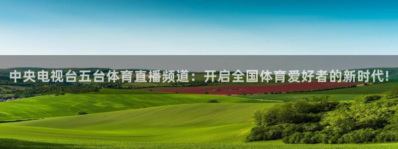 绿茵直播足球直播app：中央电视台五台体育直播频道：开启全国体育爱好者的新时代!