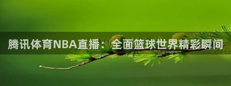 免费观看nba绿茵直播：腾讯体育NBA直播：全面篮球世界精彩瞬间