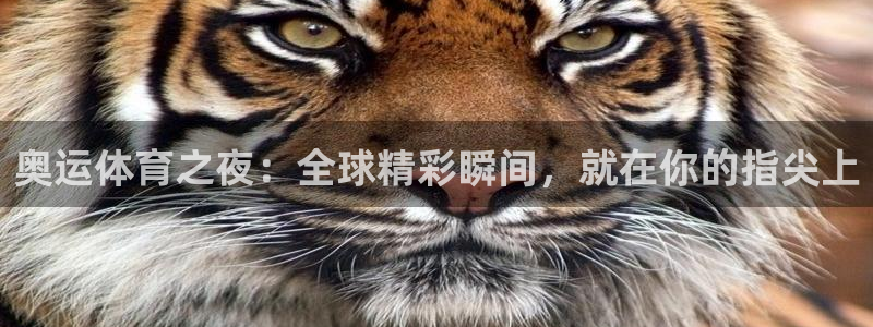 绿茵直播体育在线观看免费下载：奥运体育之夜：全球精彩瞬间，就在你的指尖上