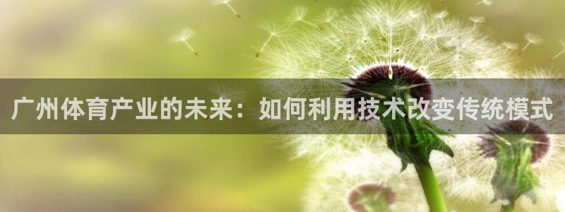 绿茵直播体育免费观看：广州体育产业的未来：如何利用技术改变传统模式