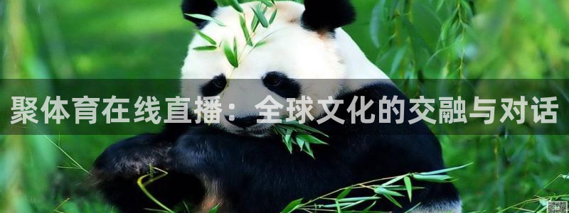 绿茵直播足球赛事：聚体育在线直播：全球文化的交融与对话