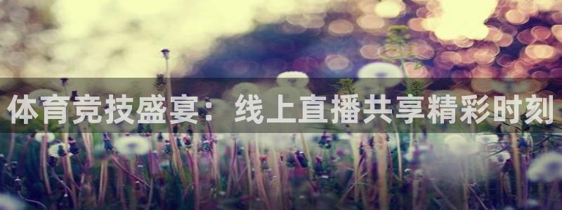 绿茵直播体育高清免费观看：体育竞技盛宴：线上直播共享精彩时刻