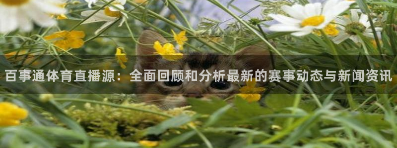 绿茵直播亚冠：百事通体育直播源：全面回顾和分析最新的赛事动态与新闻资讯