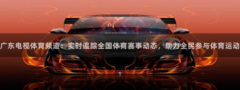 绿茵直播免费看球：广东电视体育频道：实时追踪全国体育赛事动态，助力全民参与体育运动