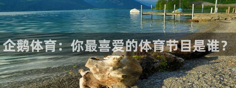 足球直播绿茵直播在线观看：企鹅体育：你最喜爱的体育节目是谁？