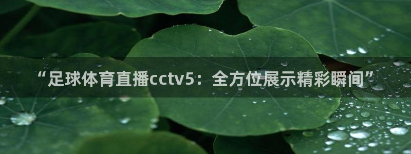 绿茵直播世预赛：“足球体育直播cctv5：全方位展示精彩瞬间”