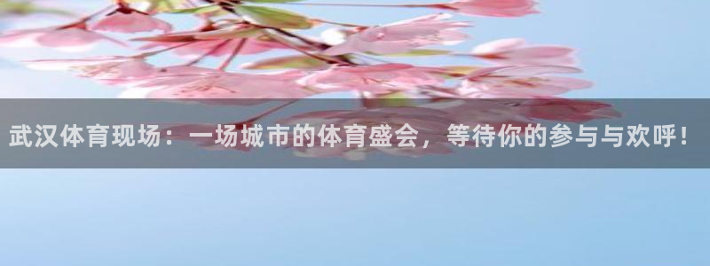 绿茵直播足球高清无广告：武汉体育现场：一场城市的体育盛会，等待你的参与与欢呼！