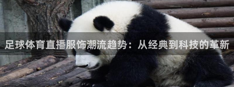 绿茵直播需要注册吗：足球体育直播服饰潮流趋势：从经典到科技的革新