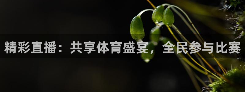 nba直播在线观看绿茵直播：精彩直播：共享体育盛宴，全民参与比赛