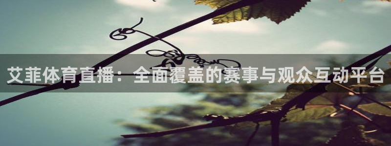 绿茵直播下载：艾菲体育直播：全面覆盖的赛事与观众互动平台