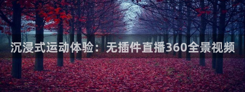 绿茵直播nba：沉浸式运动体验：无插件直播360全景视频