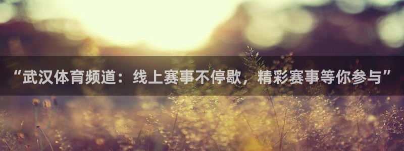 绿茵直播下载：“武汉体育频道：线上赛事不停歇，精彩赛事等你参与”