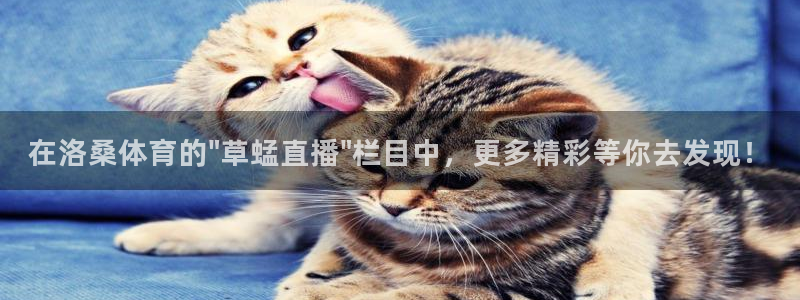 绿茵直播体育在线：在洛桑体育的\