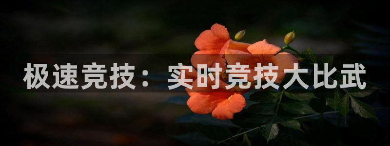 绿茵直播体育免费观看：极速竞技：实时竞技大比武